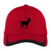 Pique Colorblock Cap Thumbnail