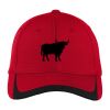 Pique Colorblock Cap Thumbnail